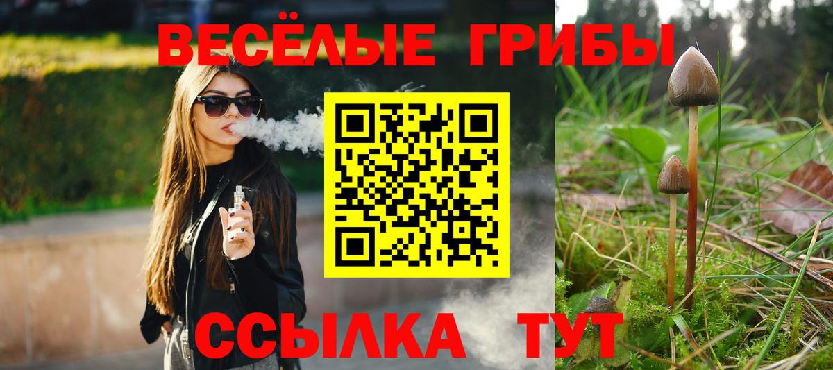 Псилоцибиновые грибы Cubensis Коломна